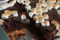 Campfire S’mores Brownie Cake