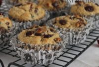Chocolate Chip Cranberry Oat Muffins