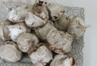 Salzburg’s Sweet Symphony: Chocolate Swirled Meringues
