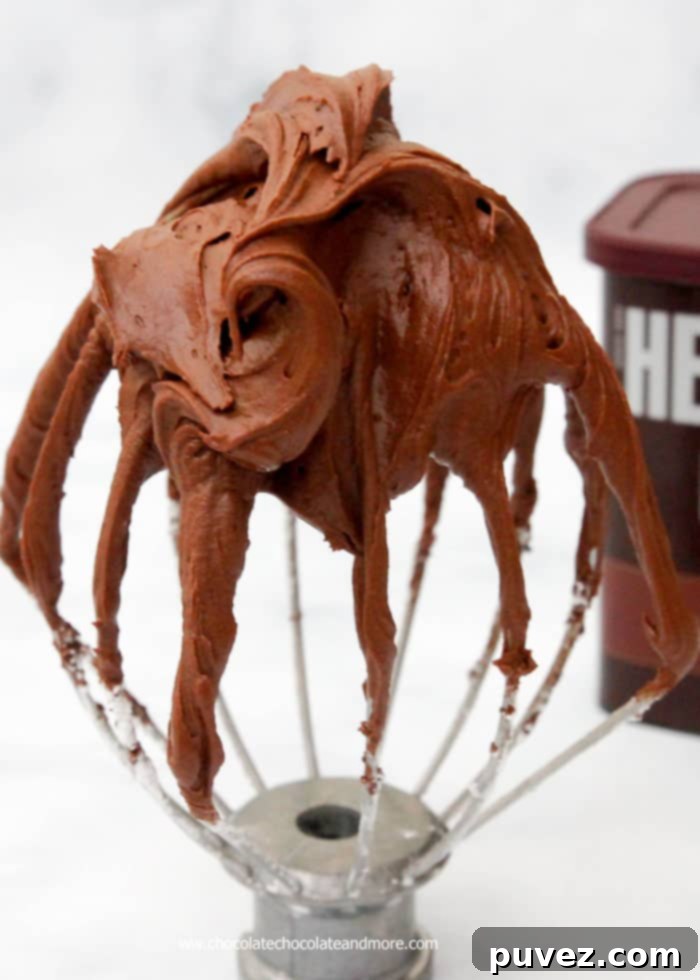 The Best Chocolate Fudge Frosting made with Hershey's Cocoa, intensely rich and smooth, tasting like pure decadent fudge.