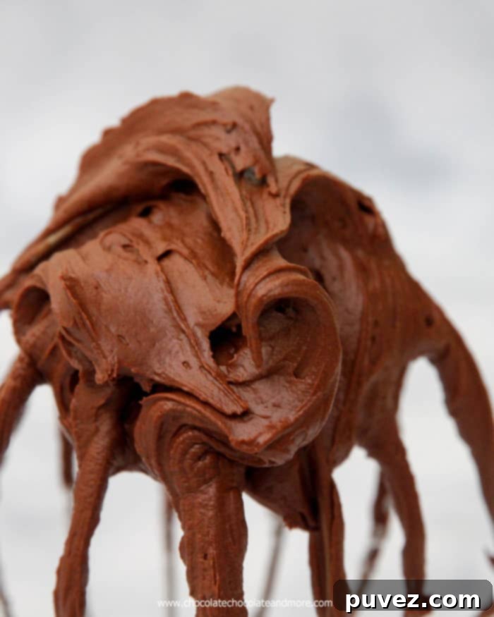 Close-up of the rich and creamy Best Chocolate Fudge Frosting, ready to be spread on a cake or cupcake.