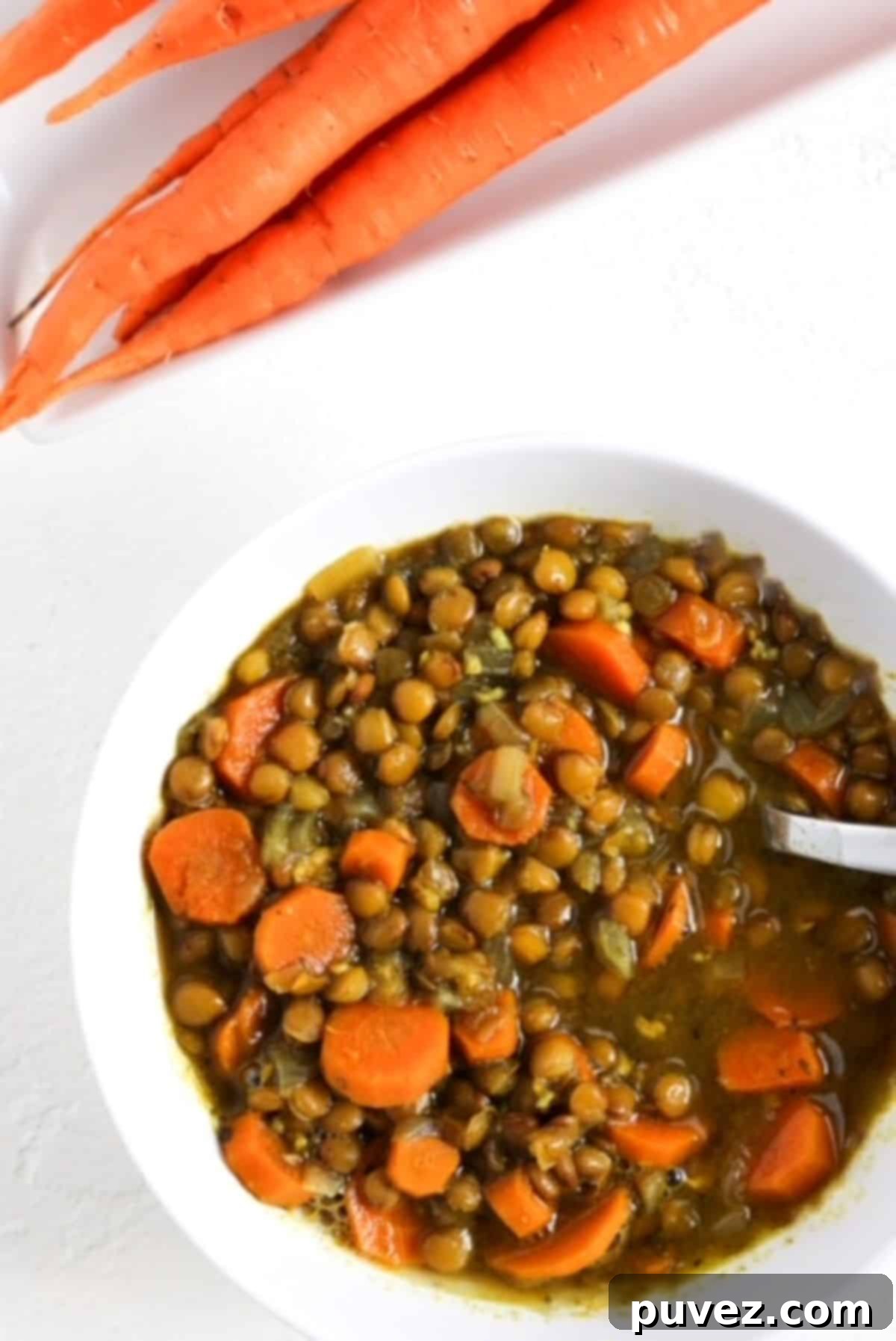 A vibrant bowl of Carrot and Lentil Soup, rich in color, with a white spoon resting in it. Behind the bowl, a fresh bunch of carrots is subtly blurred, hinting at the soup's fresh ingredients.
