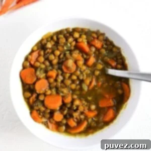 A close-up of a steaming bowl of Carrot and Lentil Soup, garnished with fresh herbs and a spoon, ready to be enjoyed.