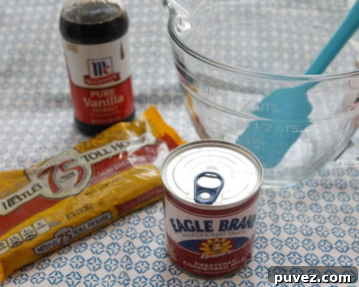 A can of sweetened condensed milk, a bag of semi-sweet chocolate chips, and a bottle of vanilla extract sit next to a glass bowl with a blue spatula, illustrating the minimal ingredients needed for 3-minute fudge.