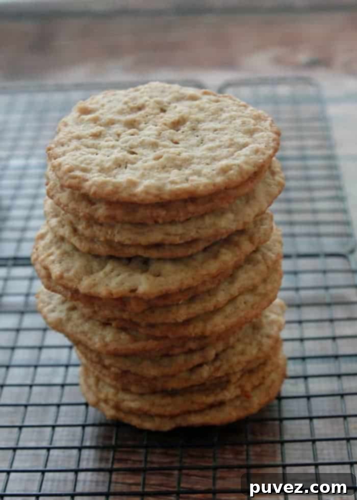 Chewy Oatmeal Coconut Cookies