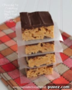 Chocolate Covered Peanut Butter Cereal Bars