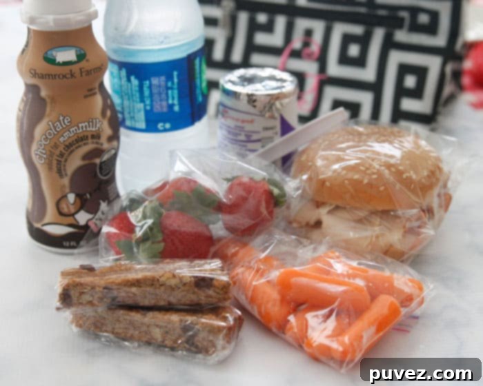 Well-balanced school lunch with homemade granola bars
