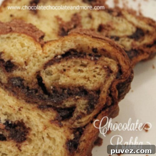 Whole baked Chocolate Babka loaf with a crumbly streusel topping