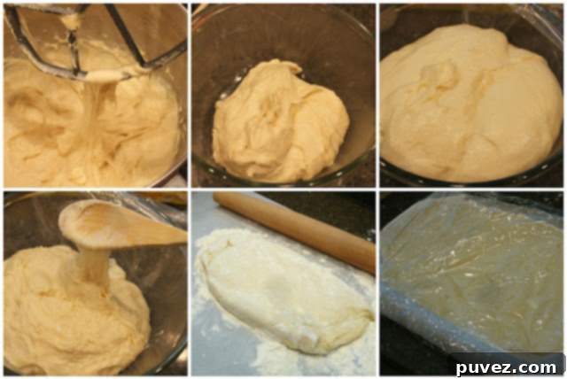 Babka dough rising in a bowl during the first proof