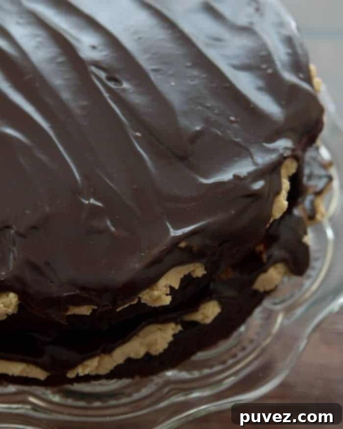 Chocolate Peanut Butter Dream Cake 2 Peanut Butter Cup Cake
