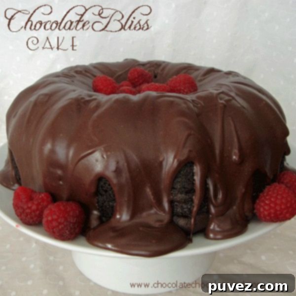 Chocolate Bliss Cake by chocolatechocolateandmore.com