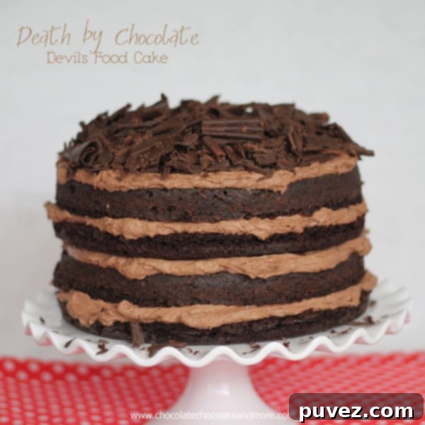 Death by Chocolate Devil's Food Cake by chocolatechocolateandmore.com