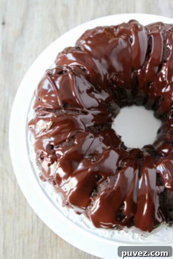 Chocolate Sour Cream Bundt Cake by twopeasandtheirpod.com