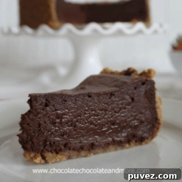 Chocolate Mousse Cake for Chocolate Moosey by chocolatechocolateandmore.com