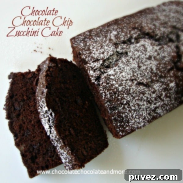 Chocolate Chocolate Chip Zucchini Cake by chocolatechocolateandmore.com