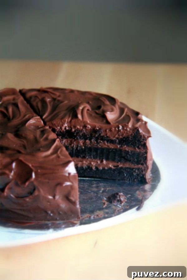 Chocolate Blackout Cake by crumbsandcookies.blogspot.sg
