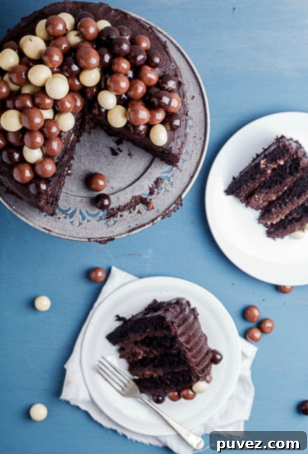 Double Coffee Chocolate Cake with Chocolate Fudge Frosting by simply-delicious-food.com