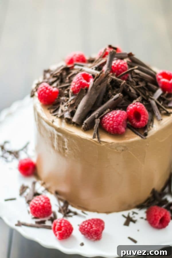 Chocolate Raspberry Cake by sugarandsnapshots.com