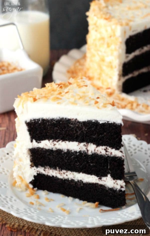 Chocolate Coconut Cake by lifeloveandsugar.com