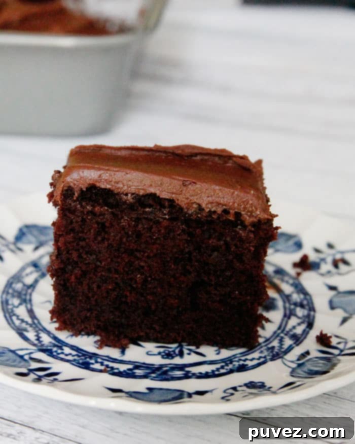 Chocolate Depression Cake - a classic egg-free and dairy-free dessert, also known as Crazy Cake or Wacky Cake, originating from the Great Depression.