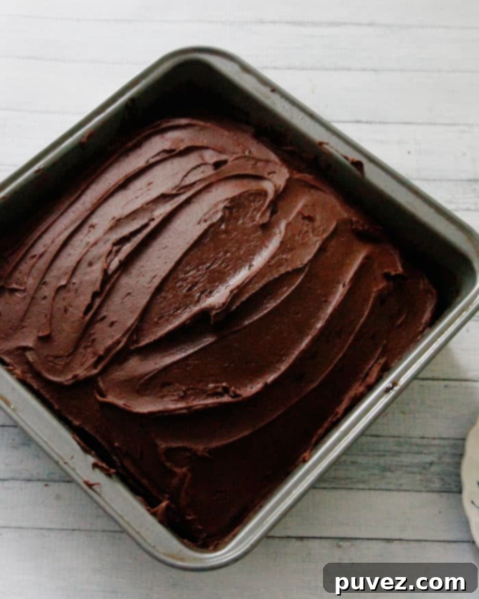 Chocolate Depression Cake - a simple, delicious dessert that harkens back to times of resourceful baking without eggs or milk.