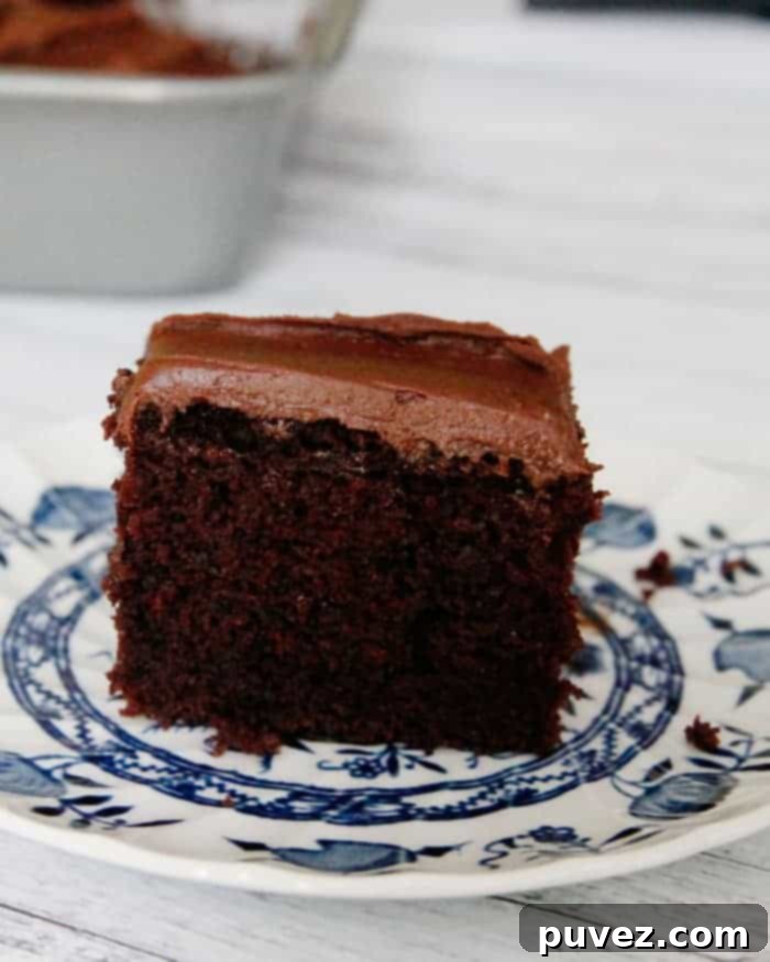 Chocolate Depression Cake, a classic egg-free and dairy-free dessert perfect for any occasion.