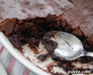 Chocolate Brownie Pudding, a warm and comforting chocolate dessert.
