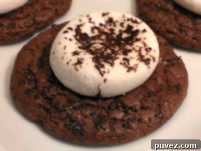 Soft and chewy Hot Cocoa Cookies with melted marshmallows