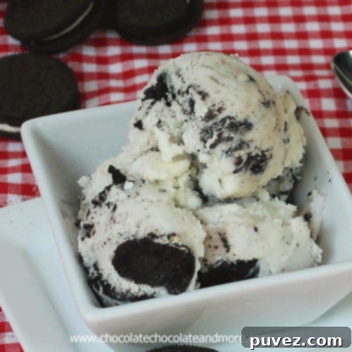 Homemade Cookies and Cream Ice Cream ready to be served