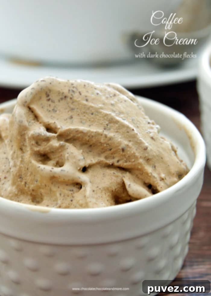 Coffee Ice Cream with Dark Chocolate Flecks-a deep coffee flavor with tiny bursts of dark chocolate! A coffee lover's dream come true!