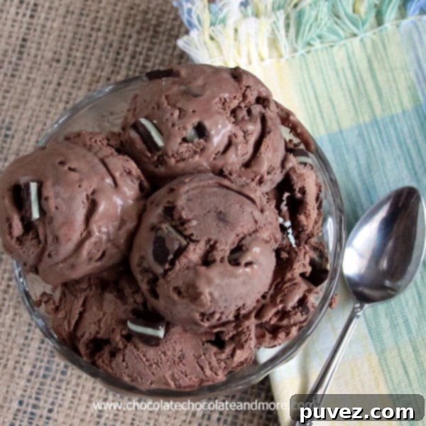 Andes Chocolate Mint Ice Cream-created using Andes Mints and no machine needed!