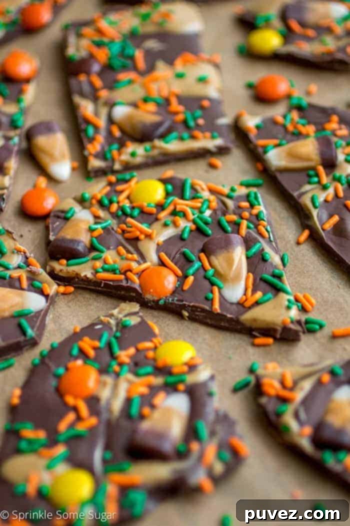 Image of a delicious chocolate bark dessert.