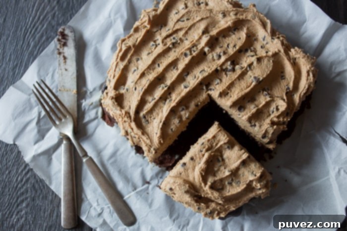 Close-up of luxurious chocolate chip cookie dough frosting, perfect for any dessert.