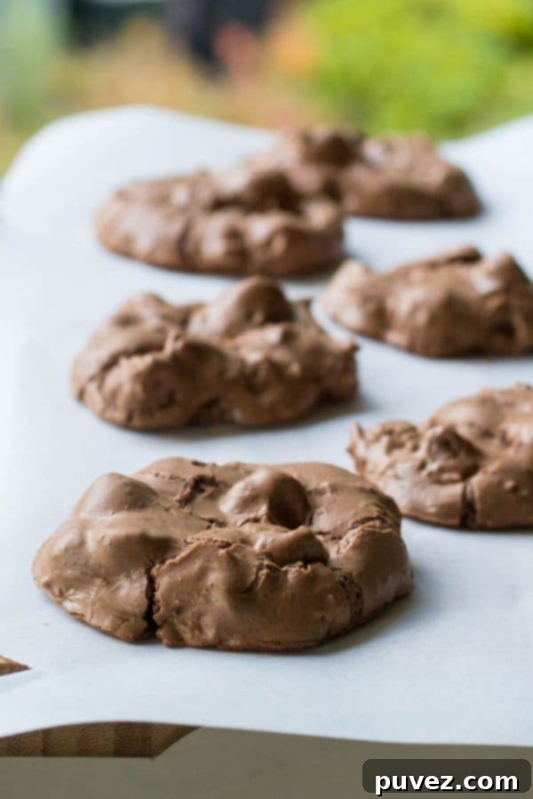 A close-up shot of a single perfectly baked, fudgy double chocolate chip cookie