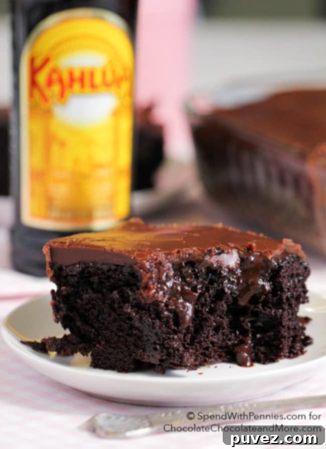 Overhead view of a freshly baked Kahlua Chocolate Poke Cake with frosting