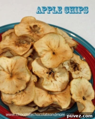Spiced Apple Chips in a bowl