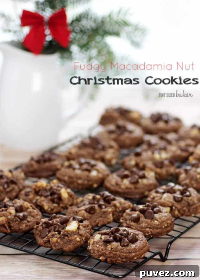 Fudgy Macadamia Nut Christmas Cookies