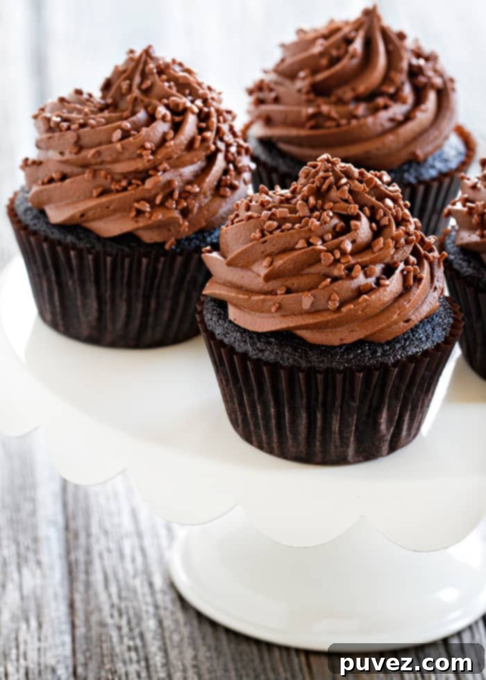 Double Chocolate Cupcakes are loaded with chocolate flavor. Add chocolate sprinkles for a chocolate trifecta!