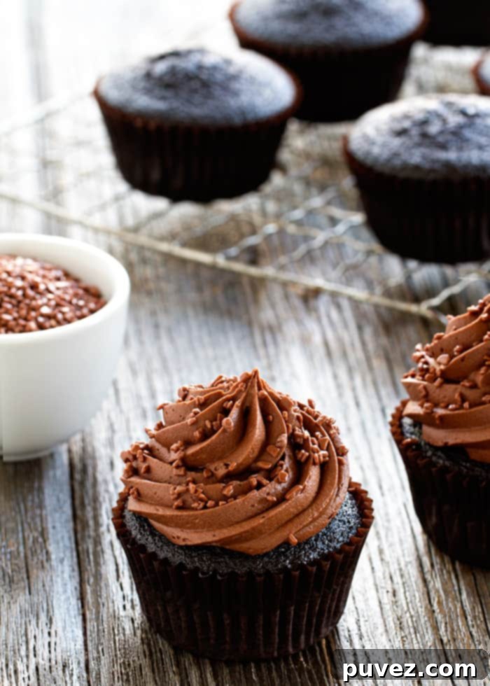 Double Chocolate Cupcakes are perfect for the chocolate lover in your life. They’re sure to become a new family favorite!