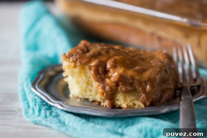 This super simple salted caramel butterscotch poke cake is packed full of flavor and ready in no time. You'll love this semi homemade treat!