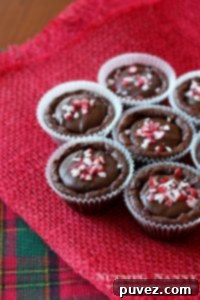 peppermint brownie by nutmeg nanny