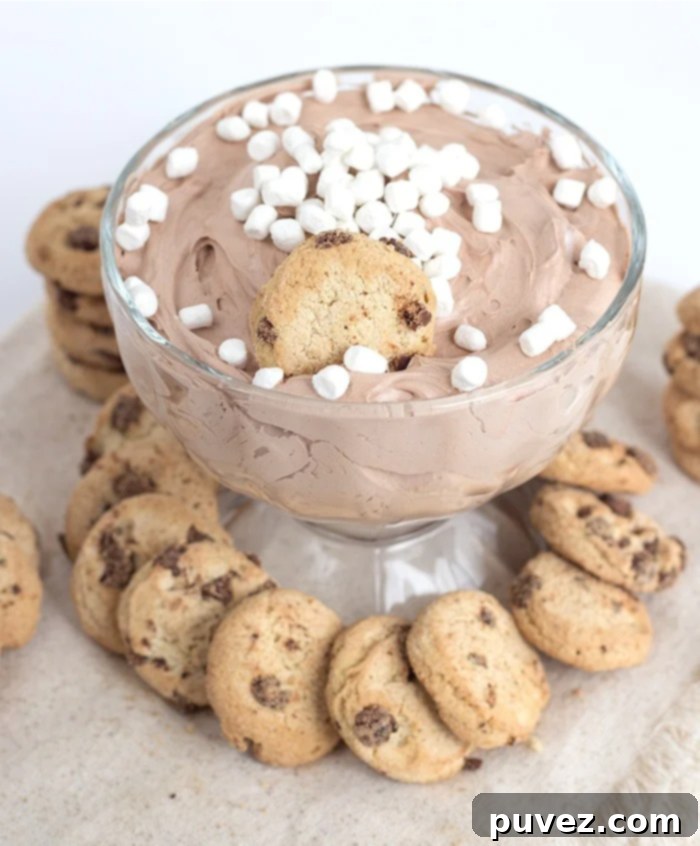 Delicious Hot Cocoa Cheesecake Dip in a bowl, surrounded by cookies for dipping