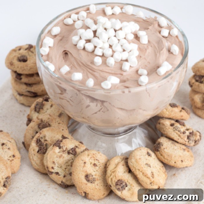 Close-up of Hot Cocoa Cheesecake Dip, highlighting its smooth texture and sprinkled marshmallows. Perfect for cookies!
