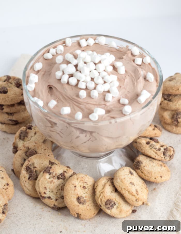Hot Cocoa Cheesecake Dip served with cookies, a perfect quick dessert.