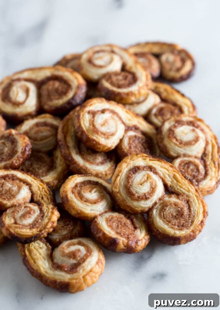 These cinnamon sugar palmiers are ready in under 20 minutes and are sure to please everyone. Perfectly sweet, crunchy and made with store bought puff pastry. You'll love these cookies!