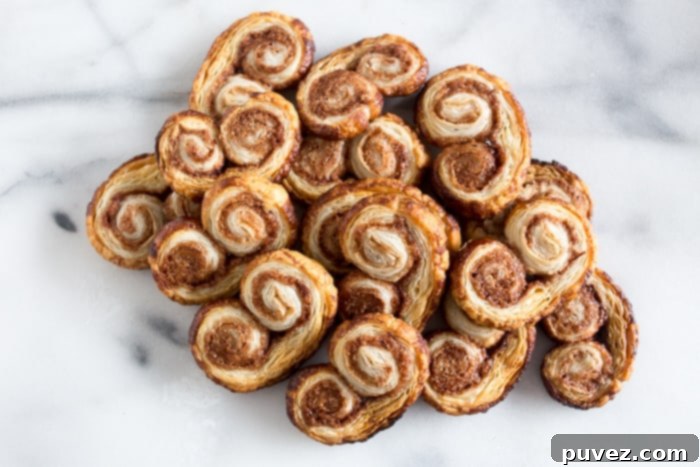 These cinnamon sugar palmiers are ready in under 20 minutes and are sure to please everyone. Perfectly sweet, crunchy and made with store bought puff pastry. You'll love these cookies!