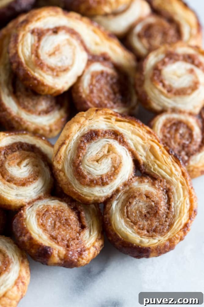 These cinnamon sugar palmiers are ready in under 20 minutes and are sure to please everyone. Perfectly sweet, crunchy and made with store bought puff pastry. You'll love these cookies!