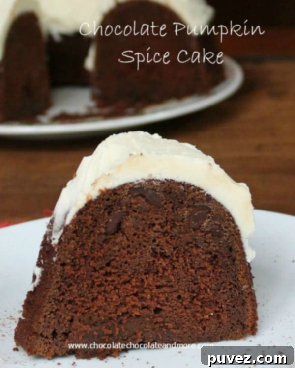 Beautifully baked Chocolate Pumpkin Spice Bundt Cake