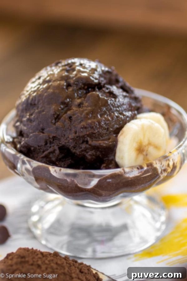 Dark Chocolate Banana Ice Cream
