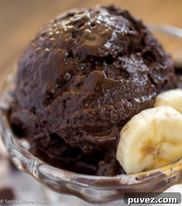 Dark Chocolate Banana Ice Cream